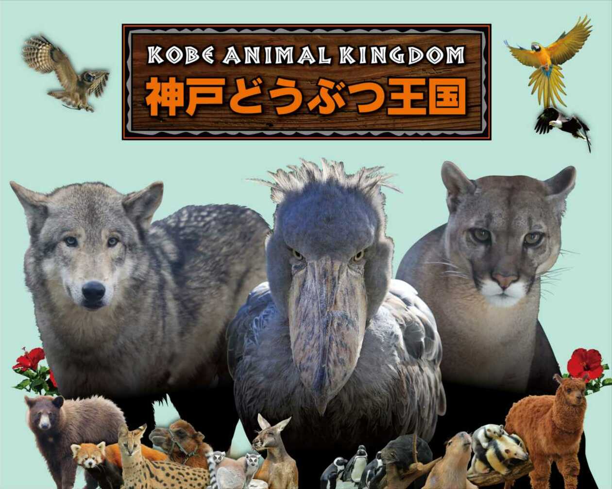 大人気のカピバラや希少な鳥ハシビロコウと触れ合える「神戸どうぶつ王国」。人気の動物をモチーフにした面白いお土産や写真映えするカフェメニューを紹介します。  | edamame - 関西観光ガイド